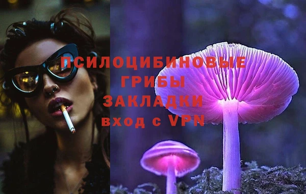 сатива Алексин
