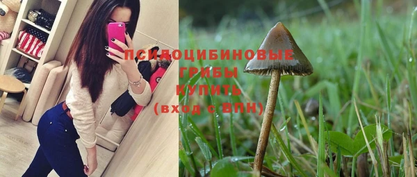 спиды Алзамай