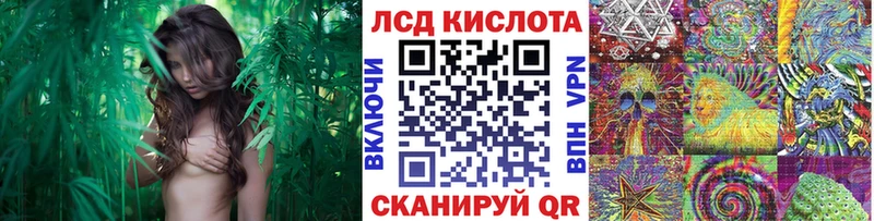Марки N-bome 1500мкг Мичуринск