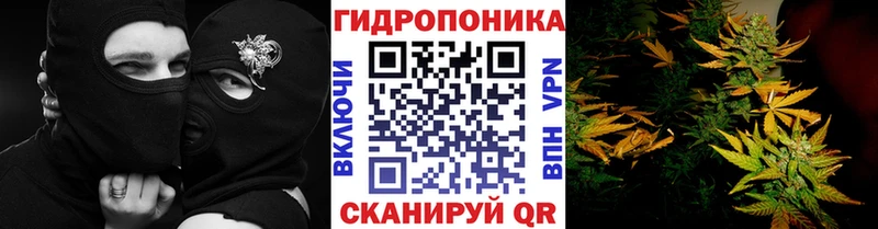 Конопля THC 21% нарко площадка формула Мичуринск